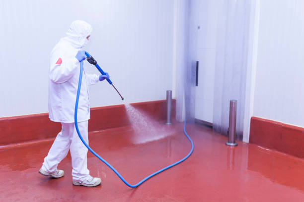 Paint Preparation in Pocomoke City, MD